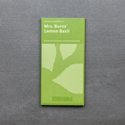 Qualtivate VVI-13 Mrs. Burns Lemon Basil Seeds Seed(1000 per packet)