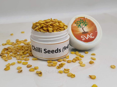 KNESSiN Hybrid Chilli[400 Seeds] Seed(400 per packet)