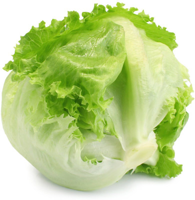 SEEDARIA lettuce seeds, iceberg lettuce seeds Seed(120 per packet)