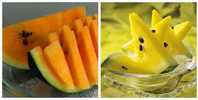 KNESSiN Yellow & Orange Watermelon Dwarf Potted Fruit Combo[100 Seeds] Seed(100 per packet)