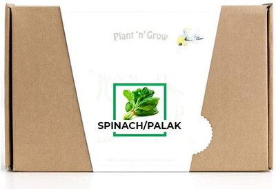 CYBEXIS Spinach/Palak4000 Seeds Seed(4000 per packet)