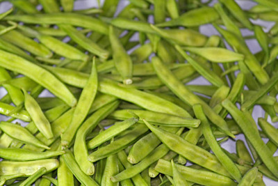 XOLDAA CLUSTER BEANS SEEDS Seed(40 per packet)