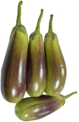 KUSH Sweet Brinjal Seeds Seed(50 per packet)