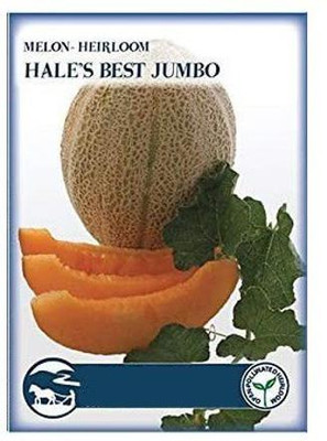 CYBEXIS Heirloom Open pollinated Melon Seeds400 Seeds Seed(400 per packet)
