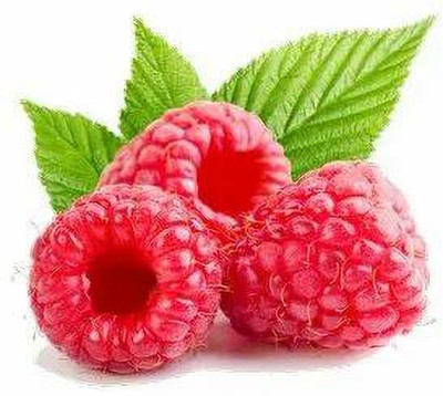 XOLDA Organic raspberry Seed(37 per packet)