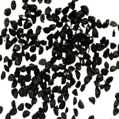 KNESSiN Fast Growing Onion Seed(500 per packet)