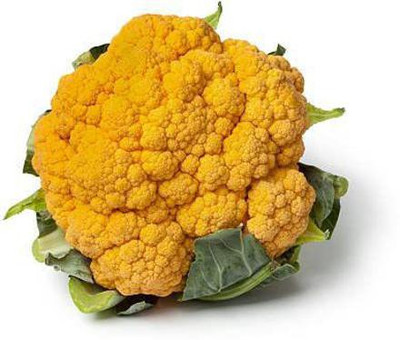 VibeX ® VXI-333 F1 Hybrid Yellow Cauliflower Seeds Seed(200 per packet)