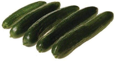 Qualtivate HYB-5A Beit Alpha Cucumber Seeds Seed(300 per packet)