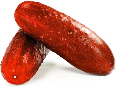 CYBEXIS Vegetable - Red Cucumber Seeds500 Seeds Seed(500 per packet)