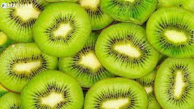 XOLDAA KIWI HYBRID F1 QUALITY FRUIT Seed(143 per packet)