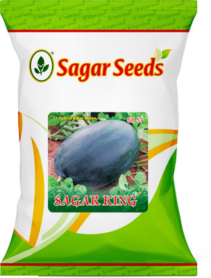 Cloud Farm SAGAR KING WATERMELON Seed(1050 per packet)