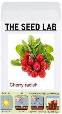 CYBEXIS Organic Vegetable Seeds-Cherry Radish2400 Seeds Seed(2400 per packet)