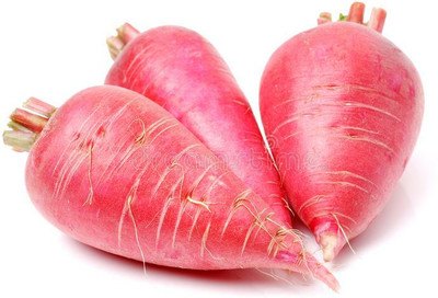 XOLDA Organic red radish Seed(33 per packet)