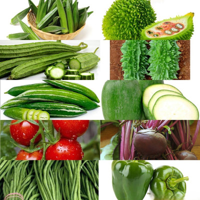 GREENSEA Organic Vegetables 10 varieties 165+ Hybrid Seed(165 per packet)