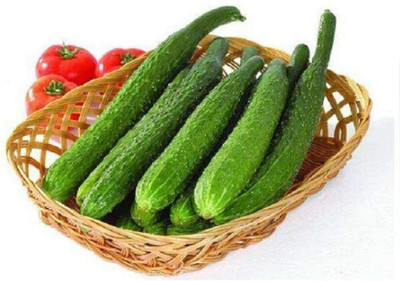 CYBEXIS Hybrid Cucumber Seeds Full Vitality Vegetables1000 Seeds Seed(1000 per packet)