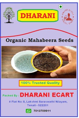 dharani A Grade Organic MahaBeera Seeds - Pignut Seeds - Talmakhana - Vana Tulasi Seeds Seed(1 kg)