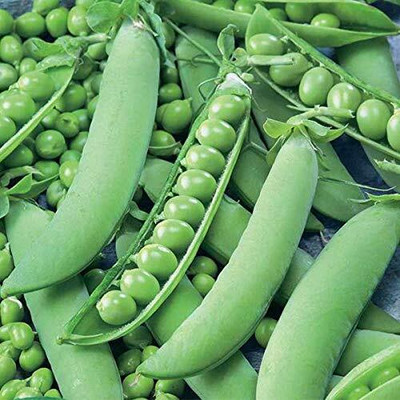 CRGO PEA , MATAR Seed(60 per packet)