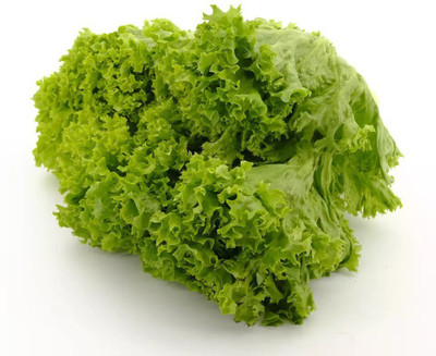 Quentova HIGH QUALITY Lettuce-KTL-11M Seed(200 per packet)