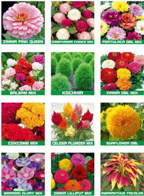 Aywal 10 Variety Of Flower Seeds Combo Pack Seed(20 per packet)