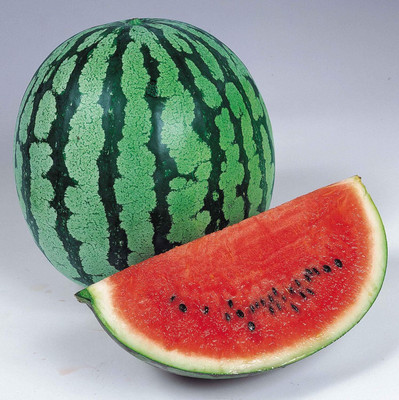KNESSiN Crimson Sweet Watermelon[100 Seeds] Seed(100 per packet)