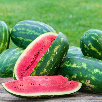 CYBEXIS GBPUT-61 - Giant Sweet Watermelon - (150 Seeds) Seed(150 per packet)
