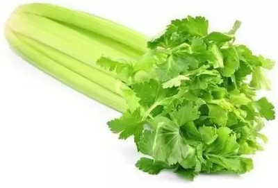 MAA Celery, Ajmod Seed(16 per packet)