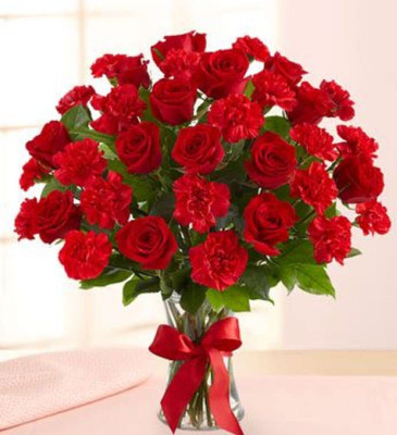 Epazo Carnation Mixed Flower Seed(10 per packet)