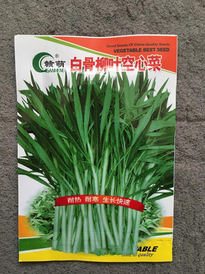 KNESSiN LXI-53 Water Spinach Seed(200 per packet)