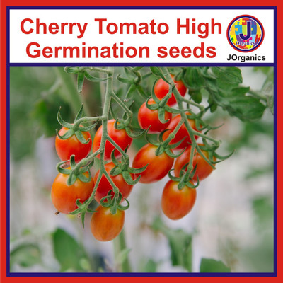 J Organics Tomato Hybrid Seeds Seed(100 g)