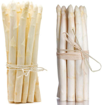 CYBEXIS Rare Non-GMO Perennials Plant Vegetables White Asparagus Seeds400 Seeds Seed(400 per packet)