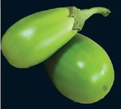 Aro Brinjal Green round, Brinjal, Eggplant Seed(110 per packet)