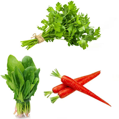 Garden Basket Hubb Palakbhaji (spinach)- Daniya(coriander )- Carrot(gajar)pack of 3 Seed(100 g)