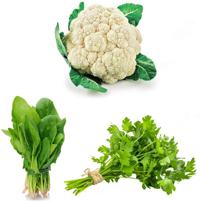 PSAgroinput Palakbhaji (spinach)- Daniya(coriander )- Cauliflower(phoolgobhi)pack of 3 Seed(100 g)