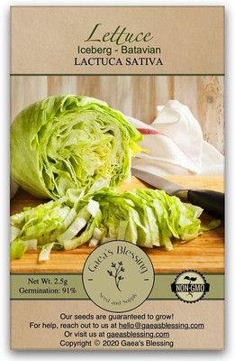 VibeX ® LXI-443 Lettuce Seeds Iceberg Batavian Seed(200 per packet)