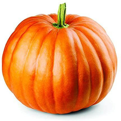 CYBEXIS XLL-52 - Pumpkin for Organic Farming - (300 Seeds) Seed(300 per packet)
