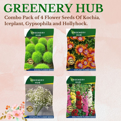 Greenery Hub 4-in-1 Gardening Seeds Combo for Your Home Garden Seed(4 per packet)