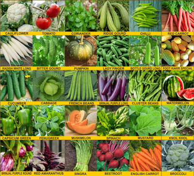 Agrey Agrey combo of 30 variety vegetable seeds with instruction manual. Seed(30 per packet)
