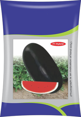 Qualtivate KXL-9AT F1 Hybrid Watermelon Icebox Seeds Seed(100 per packet)