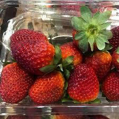 XOLDAA XOLDAA F1quality hybrid strawberry seeds Seed(70 per packet)