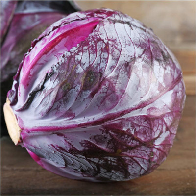 WILLVINE ROX -XVI Red Cabbage Seeds [50g] Seed(15000 per packet)