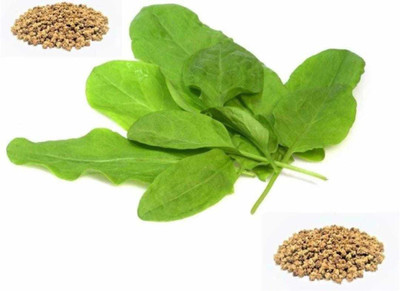 Oliver palak,spinach Seed(25 per packet)