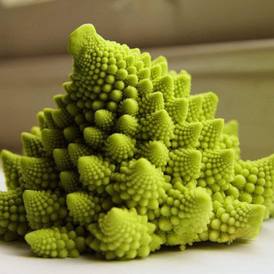 WILLVINE VMR -IX Beautiful Broccoli Romanesco Non GMO [10g]- 3000 Seeds Seed(10 g)