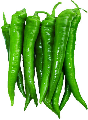 granthi High Quality Green Chilli हरी मिर्च Seed(2000 per packet)