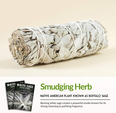 Qualtivate GBPT-9A White Sage Seeds Seed(100 per packet)