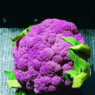 Qualtivate PUA-2A Vegetable Cauliflower Purple Seeds Seed(300 per packet)