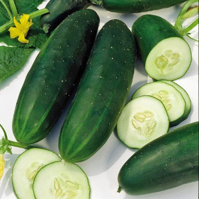 WHYGI Self-Pollinating Cucumber April F1 Heirloom Vegetable Seeds-CuC_541 Seed(100 per packet)