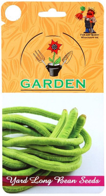 CYBEXIS Yard Long Bean Seeds200 Seeds Seed(200 per packet)