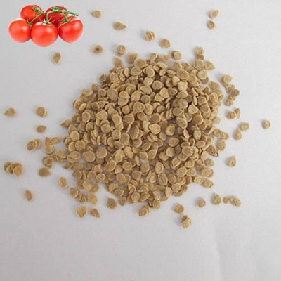 Infintegreen TOMATO Seed(100 per packet)