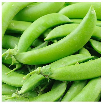 Quentova Super Sweet Peas Matar-KTL-11M Seed(25 per packet)