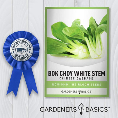 WILLVINE MAH -II Bok Choy Chinese Cabbage Seeds [50g] Seed(15000 per packet)